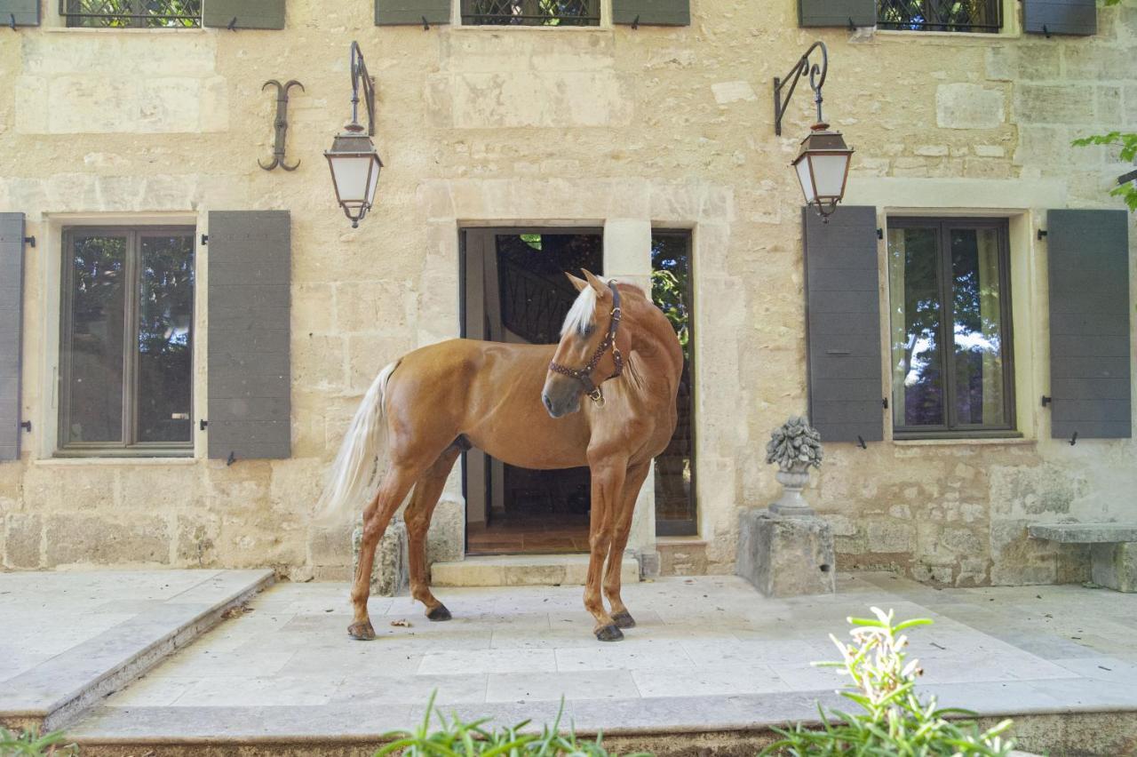 Domaine Cap Rubis Bed & Breakfast Paradou Dış mekan fotoğraf