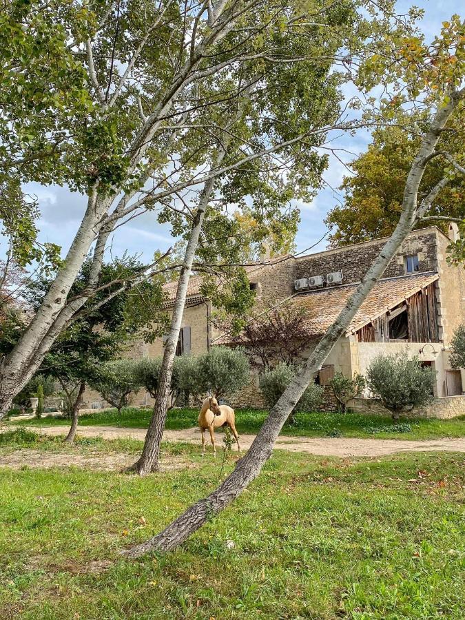 Domaine Cap Rubis Bed & Breakfast Paradou Dış mekan fotoğraf